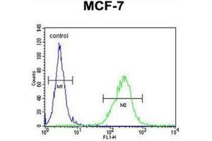 Flow cytometric analysis of MCF-7 cells  using OR6C4 Antibody (C-term) Cat. (OR6C4 anticorps  (C-Term))