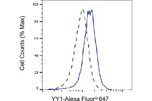 Validation of YY1 knockdown using flow cytometry.