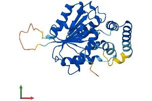 AlphaFold protein structure predicition of Mouse Recombinant Tmem53 Protein, UniprotID Q9D0Z3