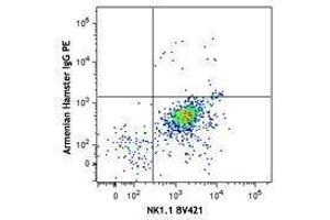 Flow Cytometry (FACS) image for anti-Zinc Finger and BTB Domain Containing 16 (ZBTB16) antibody (PE) (ABIN2662834)