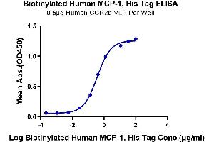 Immobilized Human CCR2b VLP at 5 μg/mL (100 μL/Well) on the plate.