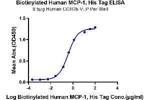 Immobilized Human CCR2b VLP at 5 μg/mL (100 μL/Well) on the plate. (CCL2 Protein (His-Avi Tag,Biotin))