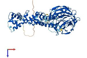 AlphaFold protein structure predicition of Human Recombinant KLHL3 Protein, UniprotID Q9UH77