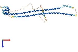 AlphaFold protein structure predicition of Human Recombinant CARD9 Protein, UniprotID Q9H257