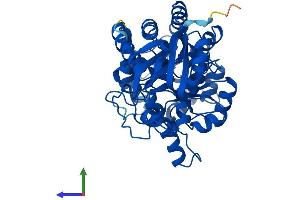 AlphaFold protein structure predicition of Human Recombinant GDA Protein, UniprotID Q9Y2T3