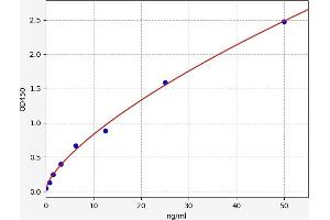 phosphoglycerate Mutase 1 (Brain) (PGAM1) ELISA Kit