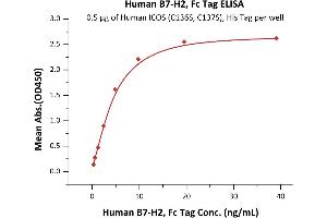 Immobilized Human ICOS (C136S, C137S), His Tag (ABIN6386444,ABIN6388254) at 5 μg/mL (100 μL/well) can bind Human B7-H2, Fc Tag (ABIN6731298,ABIN6809944) with a linear range of 0. (ICOSLG Protein (AA 19-258) (Fc Tag))