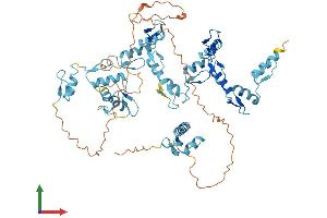 AlphaFold protein structure predicition of Human Recombinant ZNF354A Protein, UniprotID O60765