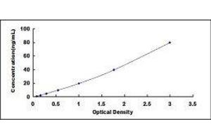 Eosinophil Peroxidase (EPX) ELISA Kit