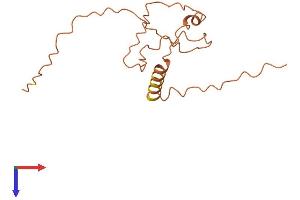 AlphaFold protein structure predicition of Human Recombinant CT62 Protein, UniprotID P0C5K7