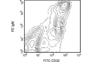 Two-color analysis of the expression of CD32 on rat splenocytes. (Fc gamma RII (CD32) anticorps)