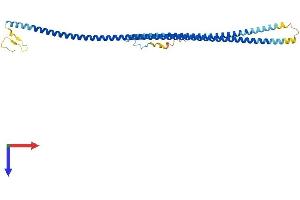 AlphaFold protein structure predicition of Mouse Recombinant Gm136 Protein, UniprotID Q3V037
