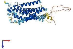 AlphaFold protein structure predicition of Mouse Recombinant Lpar3 Protein, UniprotID Q9EQ31
