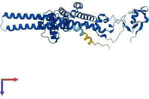 AlphaFold protein structure predicition of Human Recombinant MAEA Protein, UniprotID Q7L5Y9