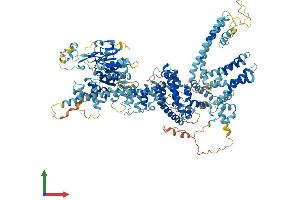 AlphaFold protein structure predicition of Human Recombinant TRPM4 Protein, UniprotID Q8TD43