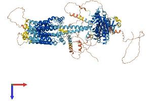 AlphaFold protein structure predicition of Human Recombinant ADCY9 Protein, UniprotID O60503