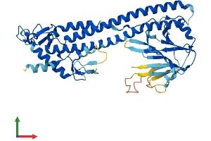 AlphaFold protein structure predicition of Human Recombinant TRIM51 Protein, UniprotID Q9BSJ1