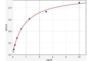 Typical standard curve (DUSP5 Kit ELISA)
