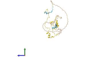 AlphaFold protein structure predicition of Mouse Recombinant Myoz1 Protein, UniprotID Q9JK37