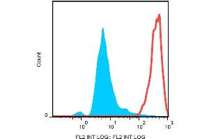Surface staining of CD9 in murine peritoneal fluid cells with anti-CD9 (EM-04) biotin, streptavidin-PE.