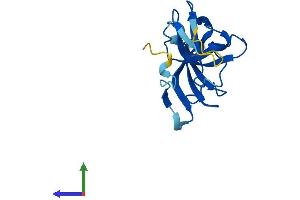 AlphaFold protein structure predicition of Human Recombinant IMMP1L Protein, UniprotID Q96LU5
