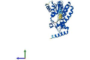 AlphaFold protein structure predicition of Human Recombinant DHRS7B Protein, UniprotID Q6IAN0