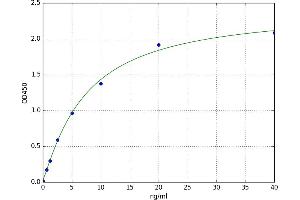 A typical standard curve (CERK Kit ELISA)