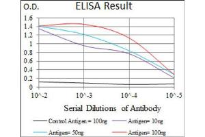 Red: Control Antigen (100ng) ; Purple: Antigen (10ng) ; Green: Antigen (50ng) ; Blue: Antigen (100ng). (MARK3 anticorps  (AA 435-658))