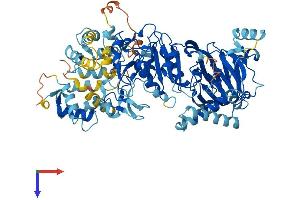 AlphaFold protein structure predicition of Human Recombinant DGKA Protein, UniprotID P23743
