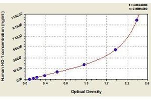 Typical standard curve (HMOX1 Kit ELISA)