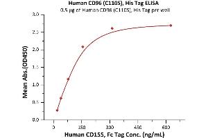Immobilized Human CD96 (C110S), His Tag (ABIN5674624,ABIN6253681) at 5 μg/mL (100 μL/well) can bind Human CD155, Fc Tag (ABIN2870620,ABIN2870621) with a linear range of 39-156 ng/mL (QC tested). (CD96 Protein (CD96) (AA 22-503) (His tag))