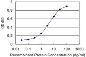 Detection limit for recombinant GST tagged HNRNPA1 is 0.