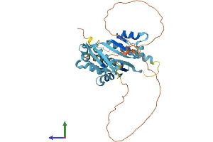 AlphaFold protein structure predicition of Human Recombinant PCBP1 Protein, UniprotID Q15365