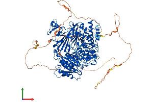 AlphaFold protein structure predicition of Human Recombinant SEC24D Protein, UniprotID O94855