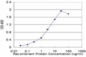 Detection limit for recombinant GST tagged GSTP1 is approximately 0. (GSTP1 anticorps  (AA 1-210))