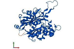 AlphaFold protein structure predicition of Human Recombinant ACAT2 Protein, UniprotID Q9BWD1