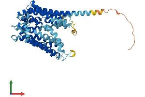 AlphaFold protein structure predicition of Human Recombinant ANKH Protein, UniprotID Q9HCJ1