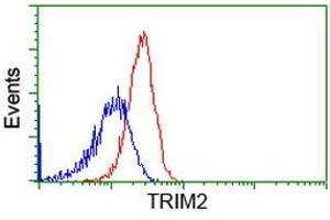Flow Cytometry (FACS) image for anti-Tripartite Motif Containing 2 (TRIM2) (AA 1-100), (AA 645-744) antibody (ABIN1490540)