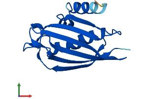 AlphaFold protein structure predicition of Human Recombinant ACOT13 Protein, UniprotID Q9NPJ3