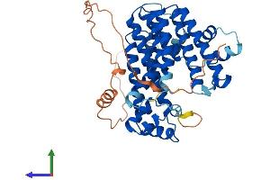 AlphaFold protein structure predicition of Human Recombinant PDSS1 Protein, UniprotID Q5T2R2