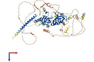 AlphaFold protein structure predicition of Human Recombinant HIF1A Protein, UniprotID Q16665
