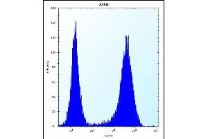 SPOPL Antibody (Center) (ABIN656695 and ABIN2845929) flow cytometric analysis of Jurkat cells (right histogram) compared to a negative control cell (left histogram). (SPOPL anticorps  (AA 221-249))
