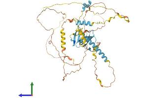 AlphaFold protein structure predicition of Human Recombinant YAP1 Protein, UniprotID P46937