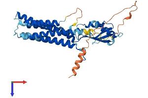 AlphaFold protein structure predicition of Human Recombinant SLC30A8 Protein, UniprotID Q8IWU4