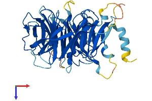 AlphaFold protein structure predicition of Human Recombinant WDR73 Protein, UniprotID Q6P4I2