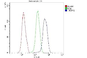 Flow Cytometry analysis of U251 cells using anti-GPCR LGR8 antibody (ABIN6719634). (RXFP2 anticorps)