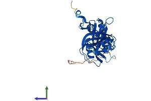 AlphaFold protein structure predicition of Mouse Recombinant Nudt6 Protein, UniprotID Q8CH40