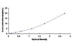 Ryanodine Receptor 2 (Cardiac) (RYR2) ELISA Kit