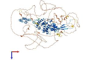 AlphaFold protein structure predicition of Human Recombinant SEC16B Protein, UniprotID Q96JE7