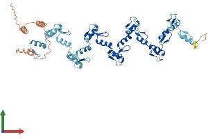 AlphaFold protein structure predicition of Human Recombinant ZNF678 Protein, UniprotID Q5SXM1